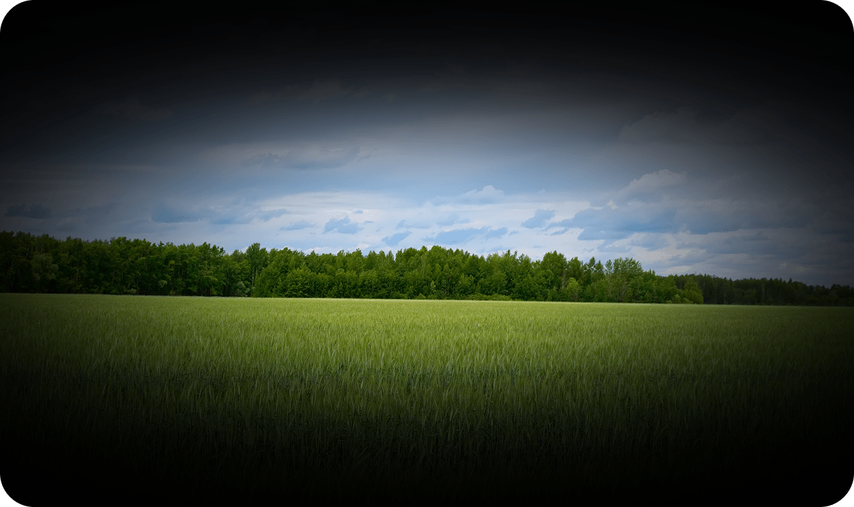 급격한 시력 저하