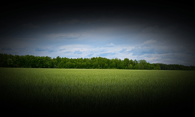 갑작스러운 시력 저하